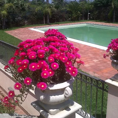My In Sicily